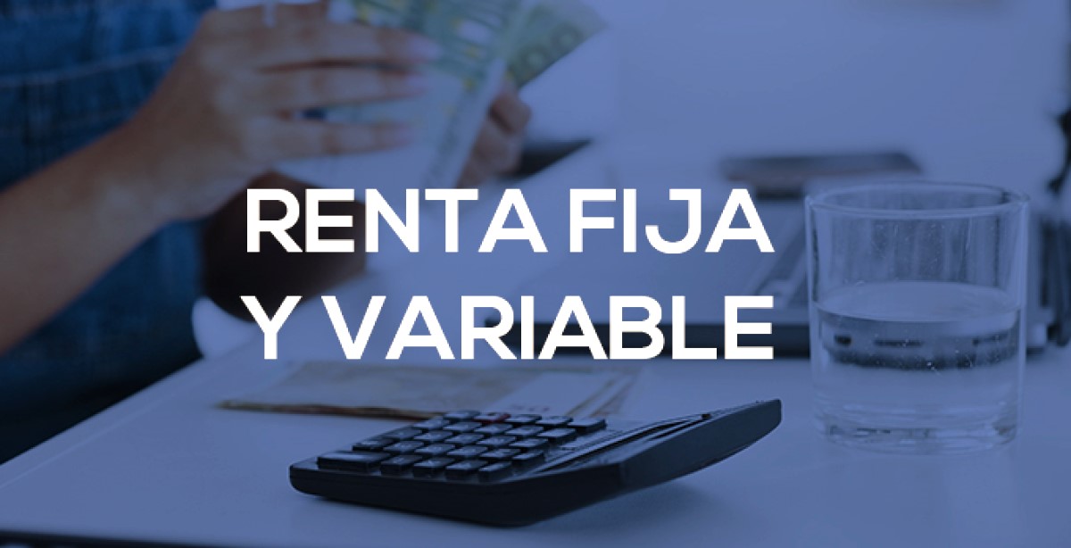 Diferencias entre renta fija y renta variable